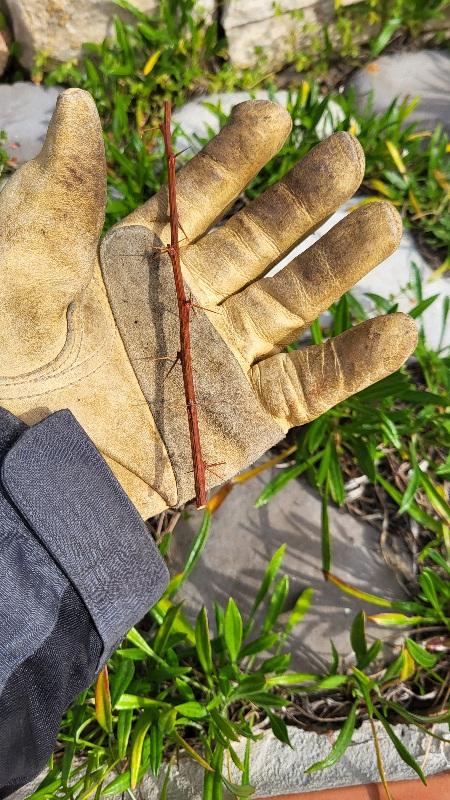 Ouvrir la fenêtre modale de l'avis 1 sur 2
