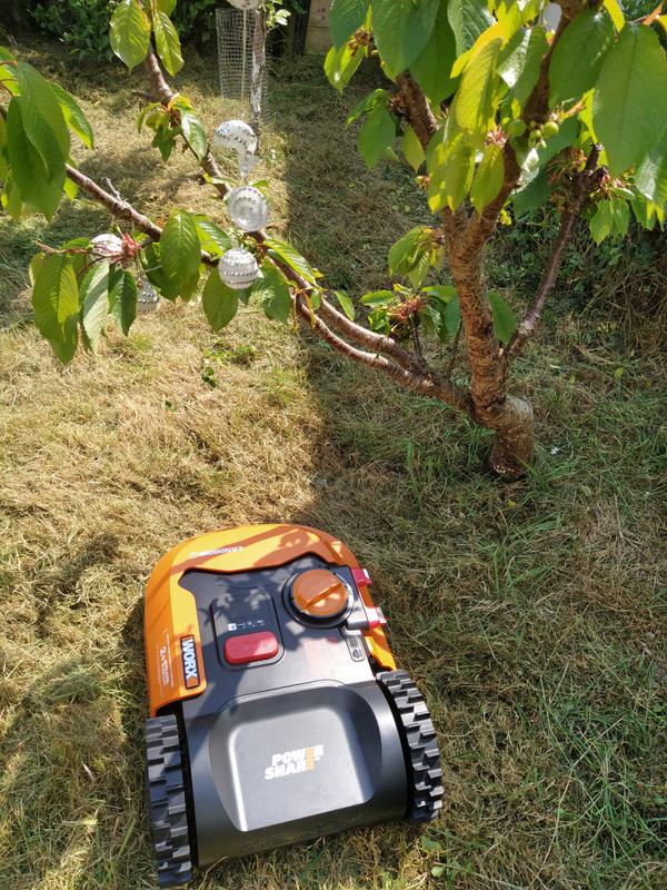 Ouvrir la fenêtre modale de l'avis 3 sur 6