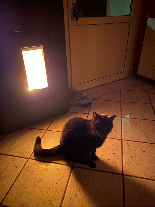 Ouvrir la fenêtre modale de l'avis 1 sur 4