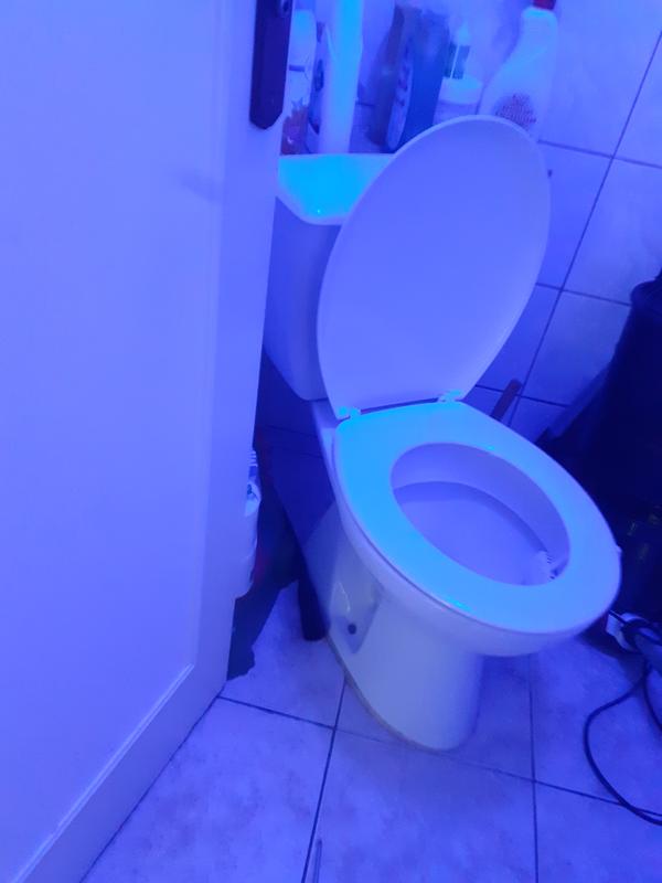 Revisione aperta modale 1 su 2