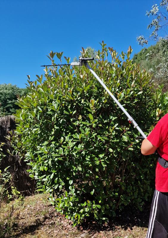Ouvrir la fenêtre modale de l'avis 2 sur 2