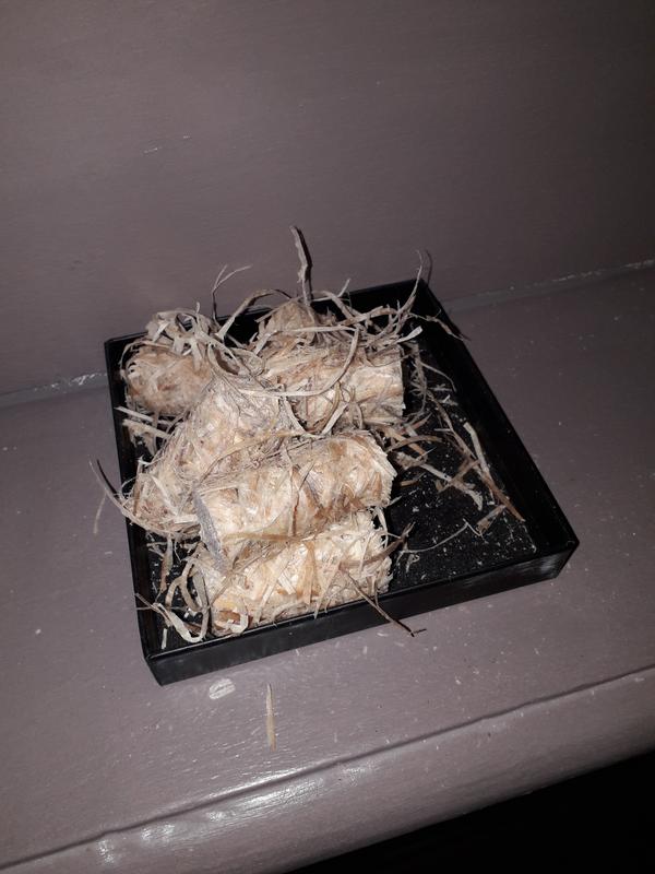 Ouvrir la fenêtre modale de l'avis 1 sur 1