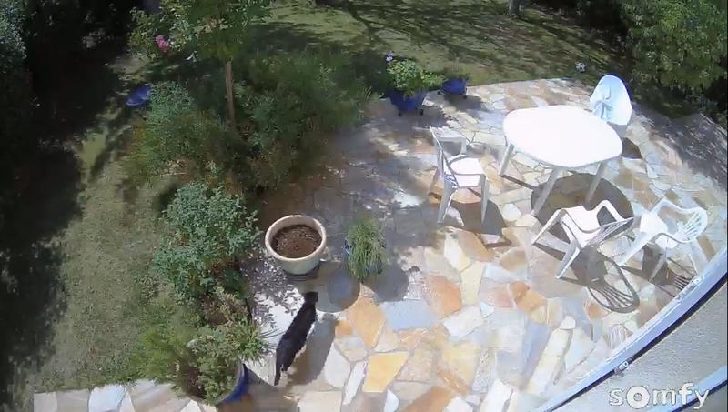 Ouvrir la fenêtre modale de l'avis 1 sur 1