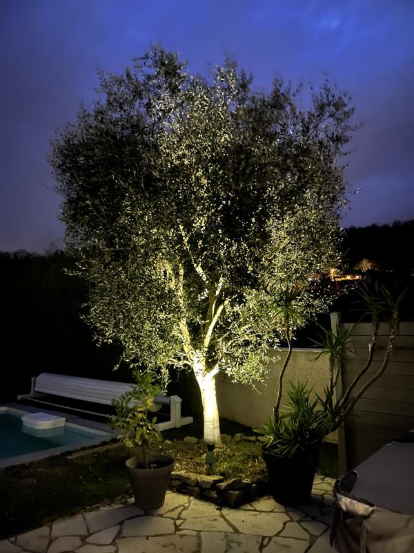 Ouvrir la fenêtre modale de l'avis 3 sur 3