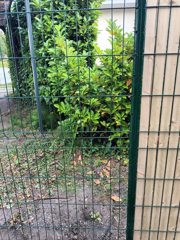 Ouvrir la fenêtre modale de l'avis 2 sur 2