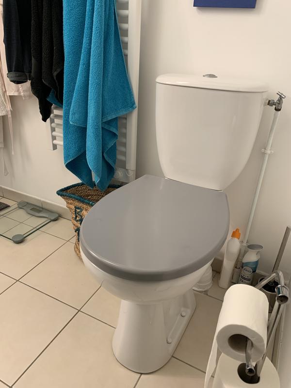 Abattant wc 2024 clipsable avis