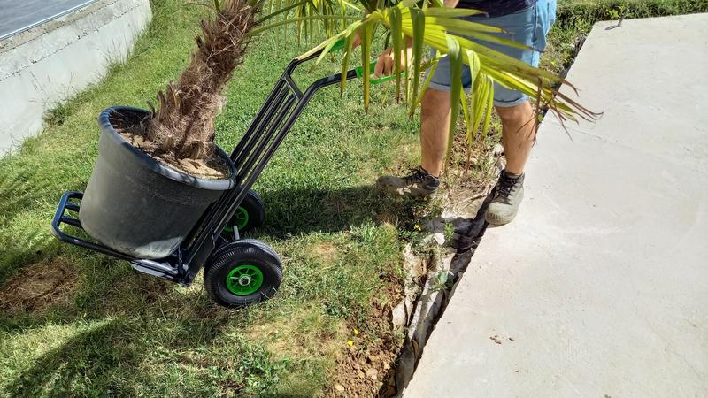 Revisione aperta modale 3 su 3