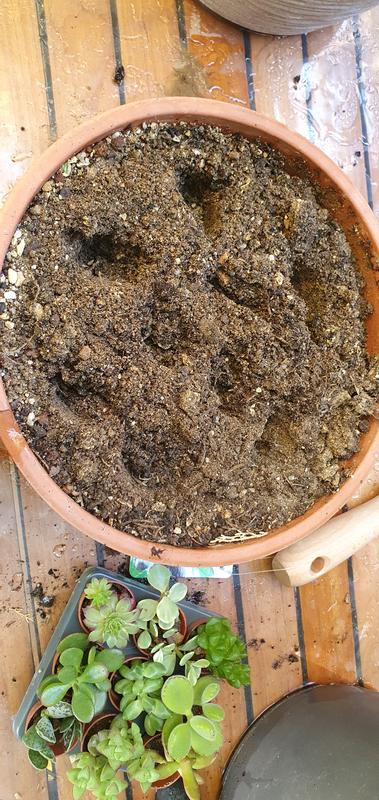 Ouvrir la fenêtre modale de l'avis 3 sur 4