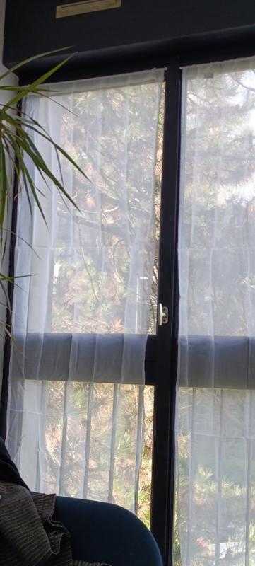 Ouvrir la fenêtre modale de l'avis 1 sur 1