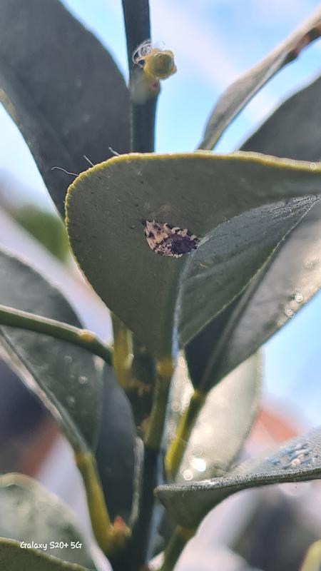 Ouvrir la fenêtre modale de l'avis 1 sur 2