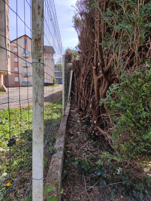 Revisione aperta modale 1 su 2