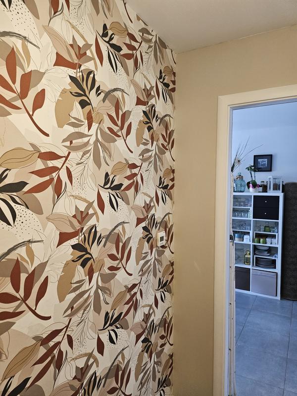 Ouvrir la fenêtre modale de l'avis 1 sur 1