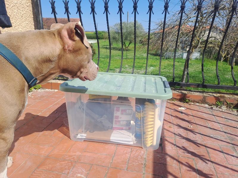 Abra o modal de avaliação 1 de 2