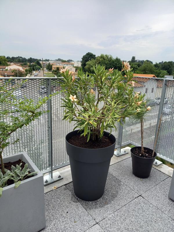 Ouvrir la fenêtre modale de l'avis 1 sur 3