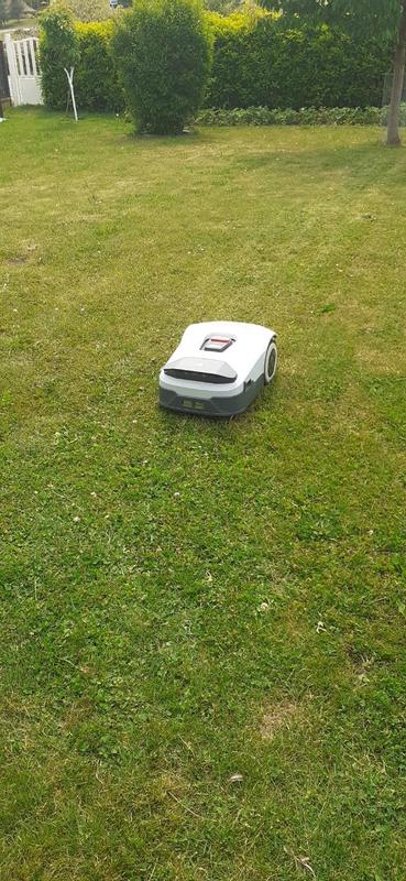 Robot Tondeuse ANTHBOT Genie600 - Sans Fil Périmètre - 900m², RTK+4 Caméras IA - Auto-cartographie, 20 Zones
