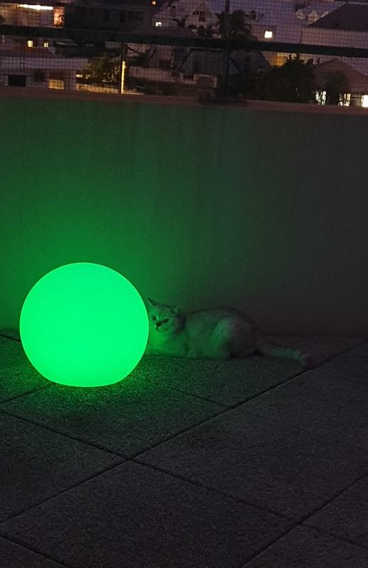 Revisione aperta modale 1 su 2