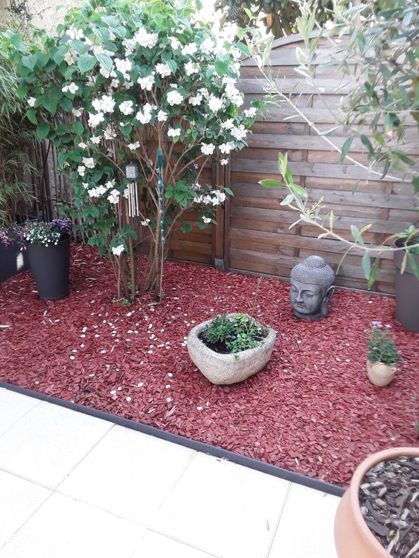 Ouvrir la fenêtre modale de l'avis 1 sur 1