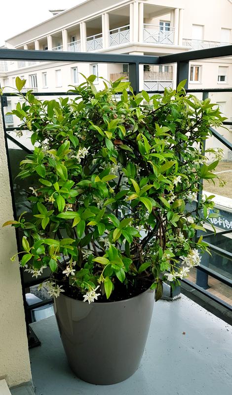 Ouvrir la fenêtre modale de l'avis 1 sur 1