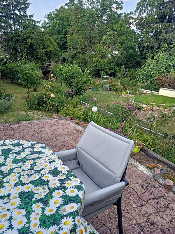 Revisione aperta modale 1 su 4