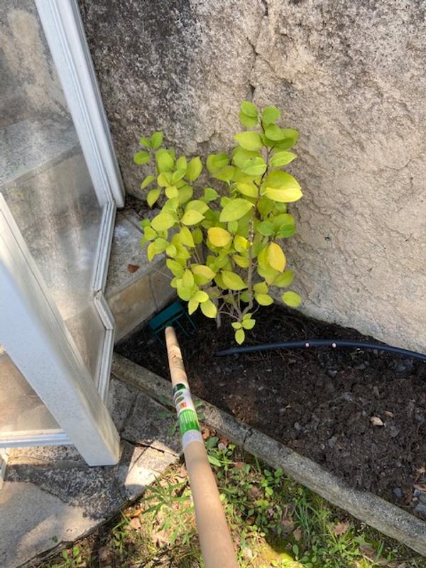 Ouvrir la fenêtre modale de l'avis 3 sur 6