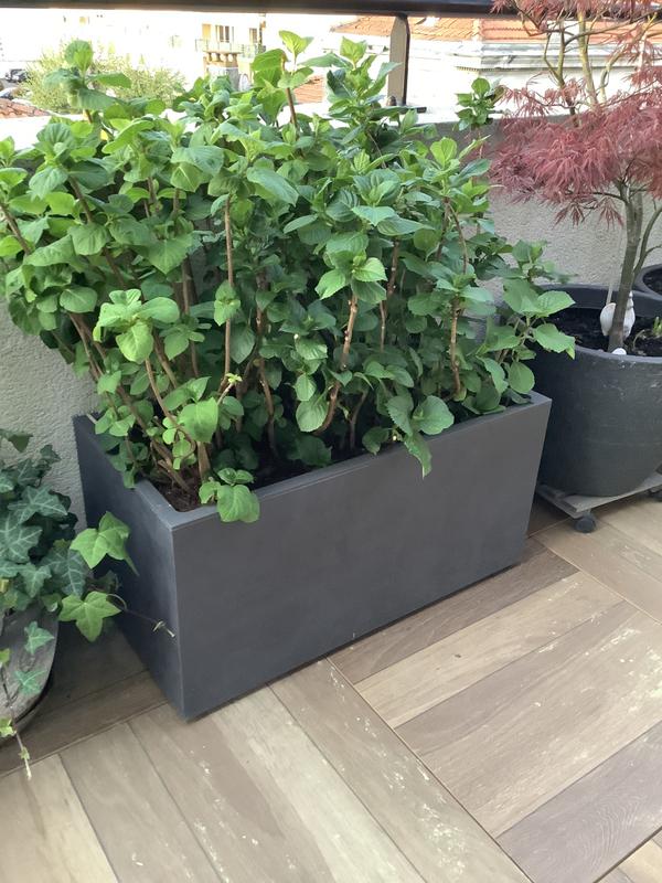 Ouvrir la fenêtre modale de l'avis 1 sur 1