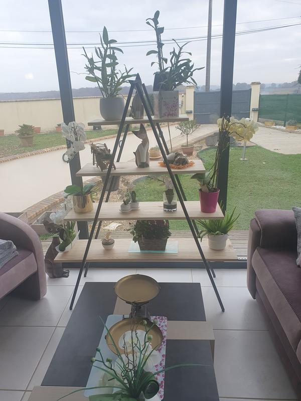 Ouvrir la fenêtre modale de l'avis 1 sur 1