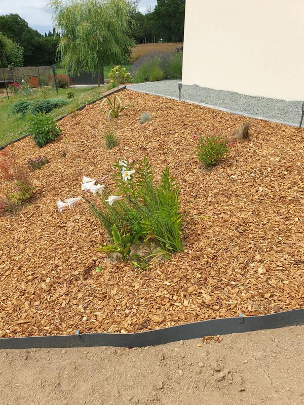 Ouvrir la fenêtre modale de l'avis 2 sur 5