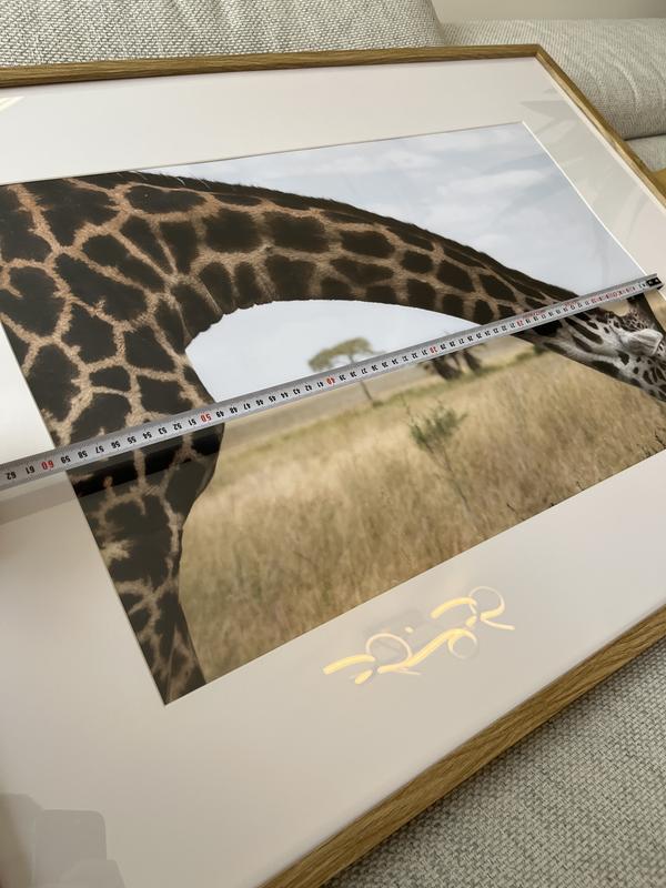 Ouvrir la fenêtre modale de l'avis 1 sur 1