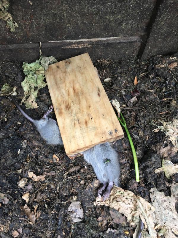 Ouvrir la fenêtre modale de l'avis 1 sur 1