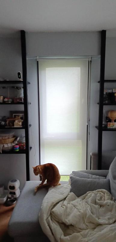 Abra o modal de avaliação 1 de 1