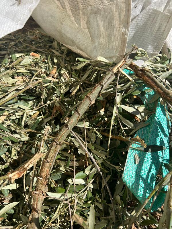 Revisione aperta modale 1 su 1