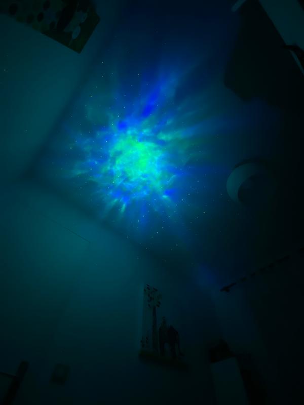 Revisione aperta modale 4 su 4