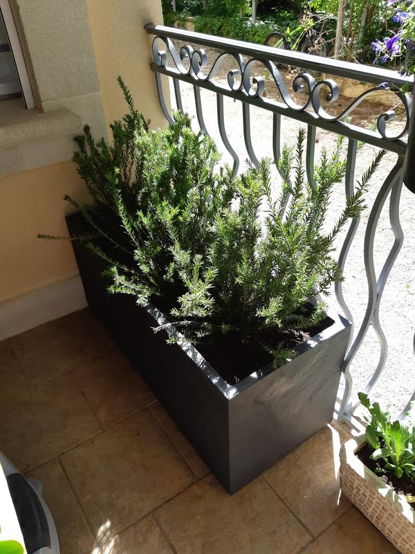 Ouvrir la fenêtre modale de l'avis 1 sur 1