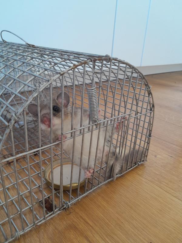 Ouvrir la fenêtre modale de l'avis 2 sur 3