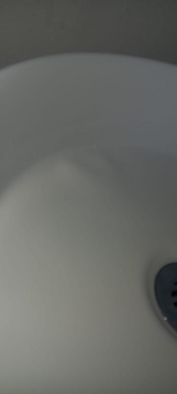 Revisione aperta modale 1 su 2