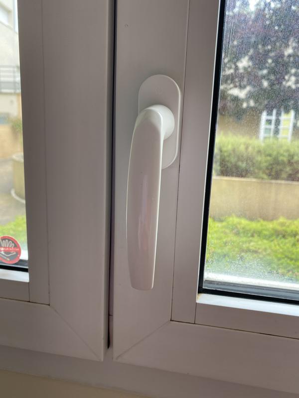 Ouvrir la fenêtre modale de l'avis 1 sur 1