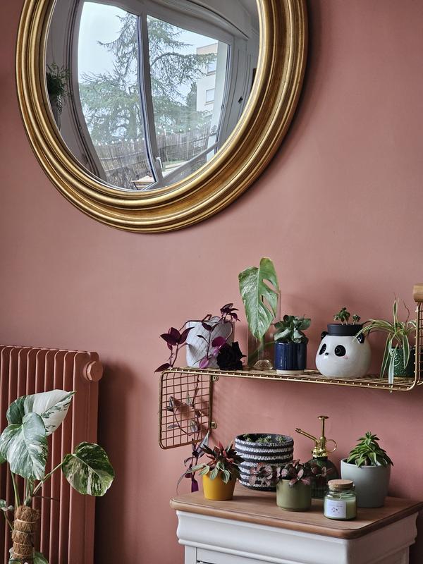 Ouvrir la fenêtre modale de l'avis 1 sur 1