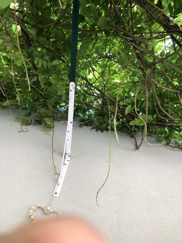 Ouvrir la fenêtre modale de l'avis 1 sur 1