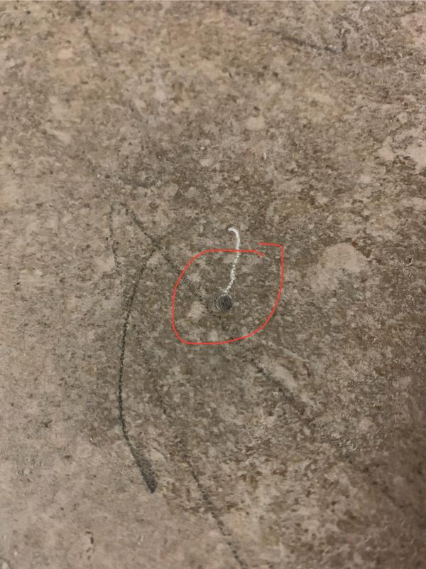 Ouvrir la fenêtre modale de l'avis 5 sur 6