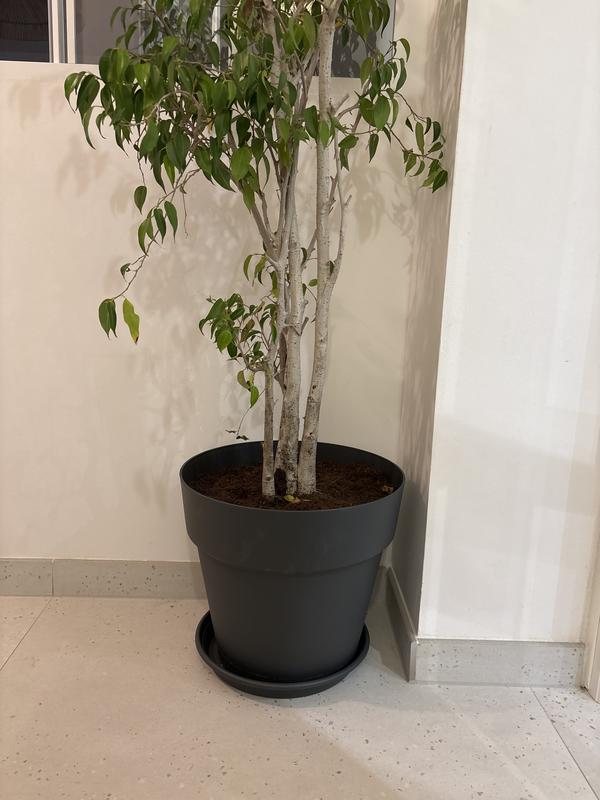 Ouvrir la fenêtre modale de l'avis 1 sur 1