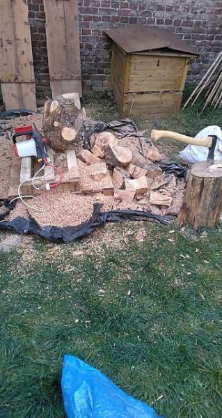 Revisione aperta modale 1 su 1