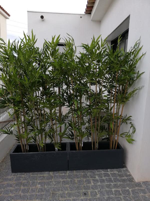 Ouvrir la fenêtre modale de l'avis 1 sur 2