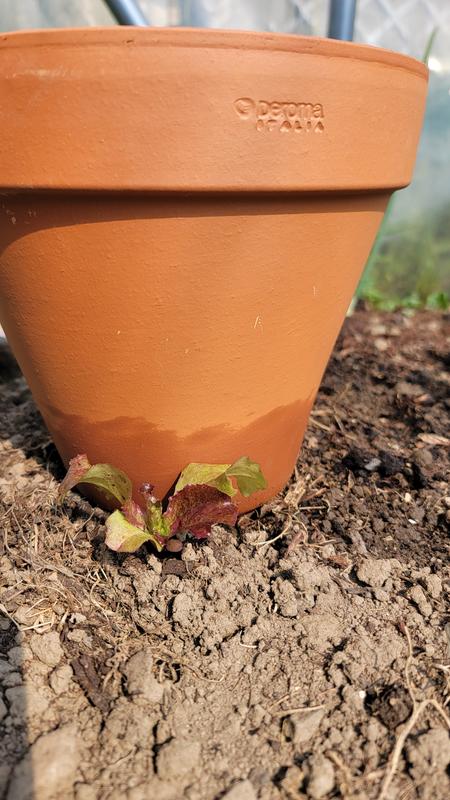 Ouvrir la fenêtre modale de l'avis 1 sur 2