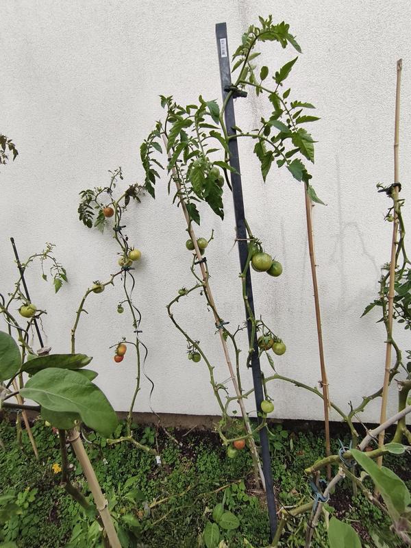 Ouvrir la fenêtre modale de l'avis 2 sur 4