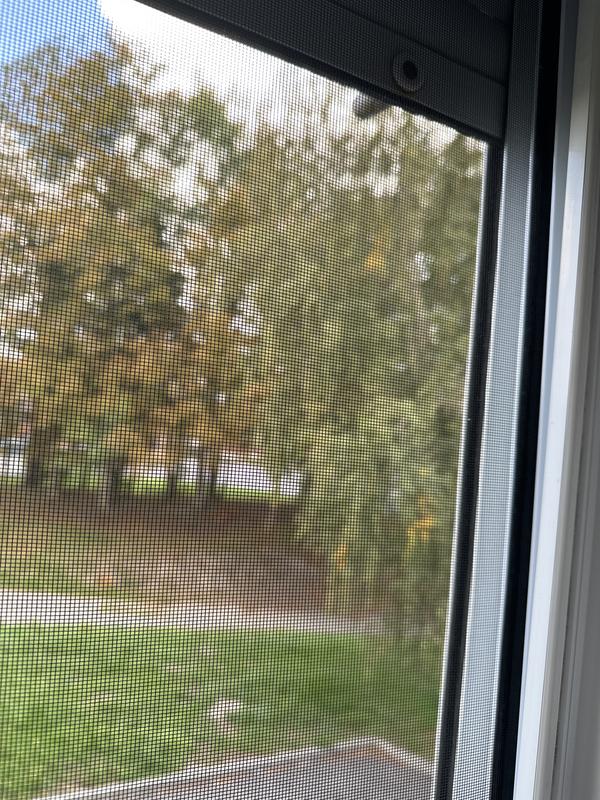 Abra o modal de avaliação 1 de 2