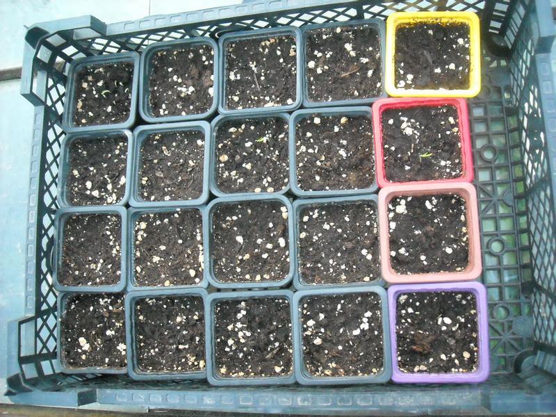 Terreau Biobizz Allmix 20L, Terreaux, Substrats, Culture D'intérieur