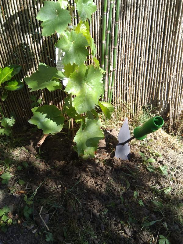 Abra o modal de avaliação 1 de 2