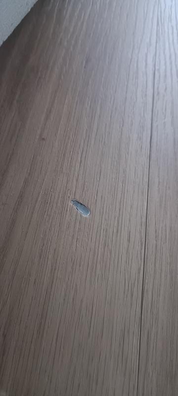 Abra o modal de avaliação 2 de 2