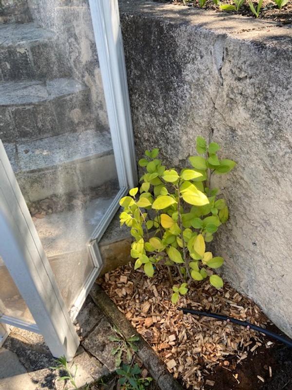 Ouvrir la fenêtre modale de l'avis 5 sur 6