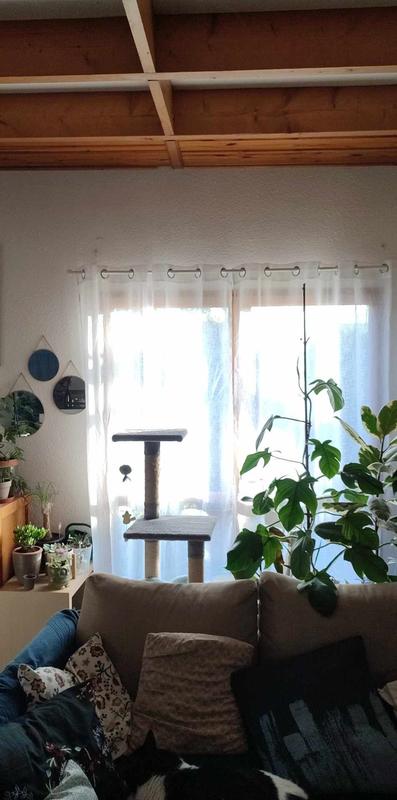 Ouvrir la fenêtre modale de l'avis 1 sur 1